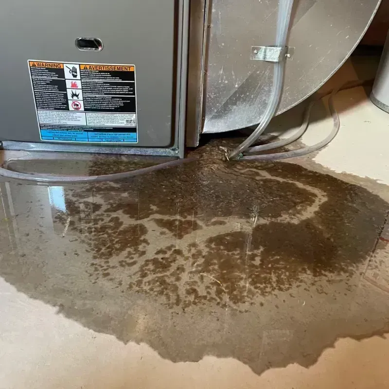 Appliance Leak Cleanup in Fairfield Beach, OH